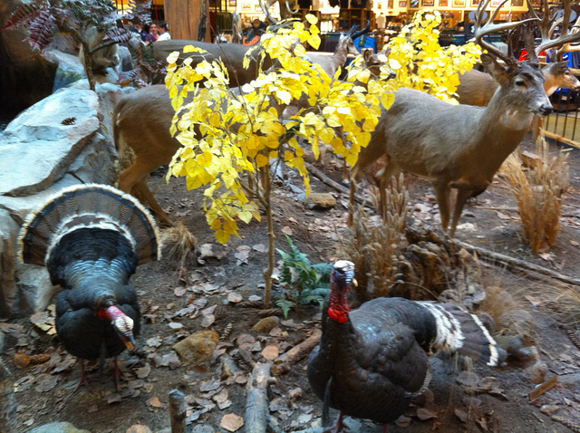Cabela's - Lacey, WA