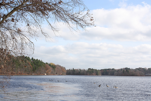 Freetown State Park - Fall River MA