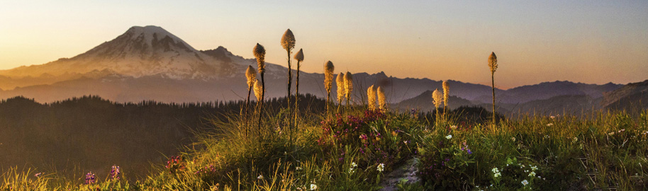 Mount Rainier at Sunset